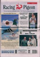 Racing Pigeon Magazine Issue 24/05/2024