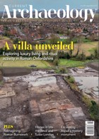 Current Archaeology Magazine Issue NO 411