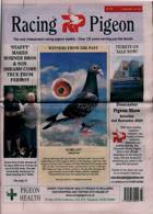 Racing Pigeon Magazine Issue 31/05/2024