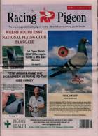 Racing Pigeon Magazine Issue 14/06/2024