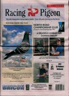 Racing Pigeon Magazine Issue 07/06/2024