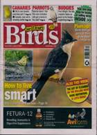 Cage And Aviary Birds Magazine Issue 12/06/2024