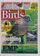 Cage And Aviary Birds Magazine Issue 03/07/2024