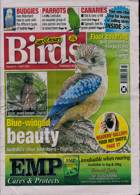 Cage And Aviary Birds Magazine Issue 05/06/2024