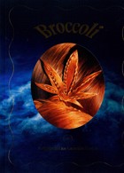 Broccoli Magazine Issue 19