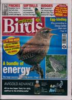 Cage And Aviary Birds Magazine Issue 17/07/2024