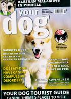 Your Dog Magazine Issue NOV 24