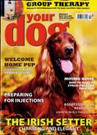 Your Dog Magazine Issue OCT 24