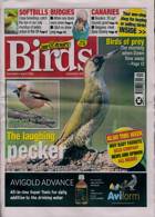 Cage And Aviary Birds Magazine Issue 31/07/2024