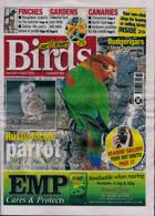 Cage And Aviary Birds Magazine Issue 07/08/2024