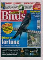 Cage And Aviary Birds Magazine Issue 14/08/2024