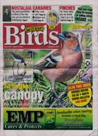 Cage And Aviary Birds Magazine Issue 21/08/2024