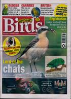 Cage And Aviary Birds Magazine Issue 11/09/2024