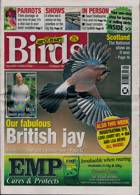 Cage And Aviary Birds Magazine Issue 09/10/2024