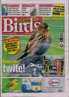 Cage And Aviary Birds Magazine Issue 16/10/2024