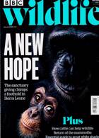 Bbc Wildlife Magazine Issue OCT 24