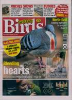 Cage And Aviary Birds Magazine Issue 23/10/2024