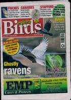 Cage And Aviary Birds Magazine Issue 30/10/2024