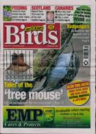 Cage And Aviary Birds Magazine Issue 06/11/2024