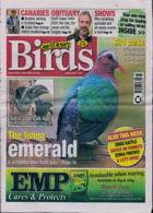 Cage And Aviary Birds Magazine Issue 20/11/2024