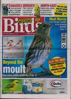 Cage And Aviary Birds Magazine Issue 27/11/2024