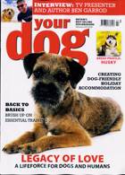 Your Dog Magazine Issue FEB 25