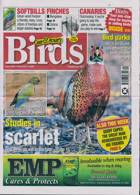 Cage And Aviary Birds Magazine Issue 04/12/2024