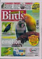 Cage And Aviary Birds Magazine Issue 11/12/2024