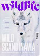 Bbc Wildlife Magazine Issue JAN 25