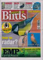 Cage And Aviary Birds Magazine Issue 02/01/2025