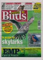 Cage And Aviary Birds Magazine Issue 15/01/2025