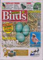 Cage And Aviary Birds Magazine Issue 22/01/2025