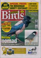 Cage And Aviary Birds Magazine Issue 29/01/2025