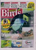 Cage And Aviary Birds Magazine Issue 05/02/2025