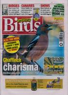 Cage And Aviary Birds Magazine Issue 12/02/2025