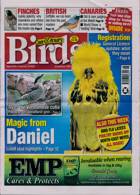 Cage And Aviary Birds Magazine Issue 19/02/2025