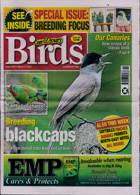 Cage And Aviary Birds Magazine Issue 12/03/2025