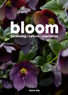 Bloom Magazine Issue Issue 10