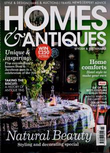 Homes & Antiques Magazine NOV 21 Order Online