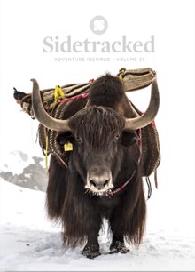 Sidetracked Magazine Vol 31 Order Online