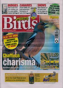 Cage And Aviary Birds Magazine 12/02/2025 Order Online