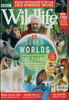 Bbc Wildlife Magazine Subscription | Buy at Newsstand.co.uk | Wildlife