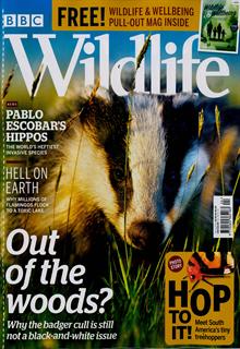 Bbc Wildlife Magazine Subscription | Buy at Newsstand.co.uk | Wildlife