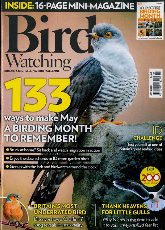 Bird Watching Magazine Subscription | Buy at Newsstand.co.uk | Birds