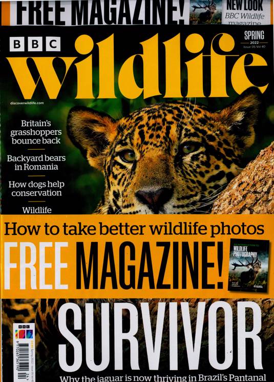 Bbc Wildlife Magazine Subscription | Buy at Newsstand.co.uk | Wildlife