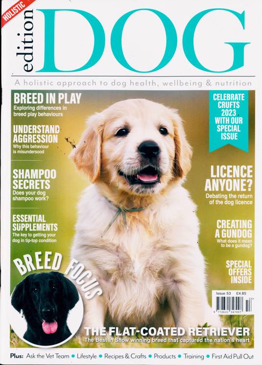 Edition Dog Magazine Subscription | Buy at Newsstand.co.uk | Dogs